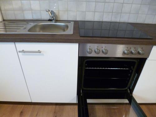 Il comprend une cuisine équipée d'un évier et d'une cuisinière. dans l'établissement Nice Apartment in Vöhringen, à Vöhringen