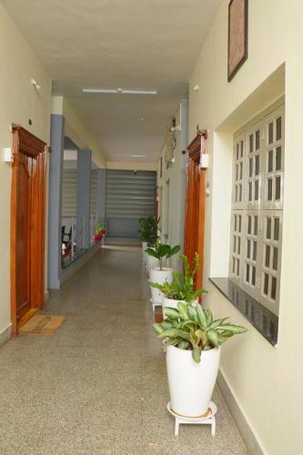 a hallway with plants in white pots on the wall at ABS Home Stay, 2Bed room AC Flats,Tirupati in Tirupati