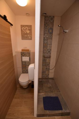a small bathroom with a toilet and a shower at Hôtel Le Bayeux in Bayeux