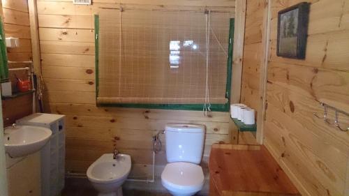 a bathroom with a white toilet and a sink at Dom letniskowy ORCHIDEA in Chrzanowo