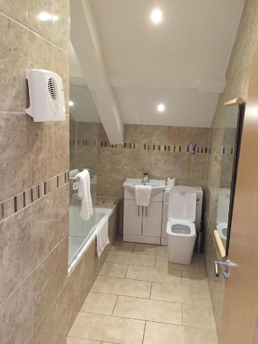 La salle de bains est pourvue de toilettes, d'un lavabo et d'une douche. dans l'établissement Grosvenor house, à Cardiff