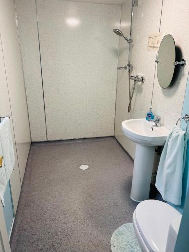 a small bathroom with a toilet and a sink at Miller's Cottage in Woolfardisworthy
