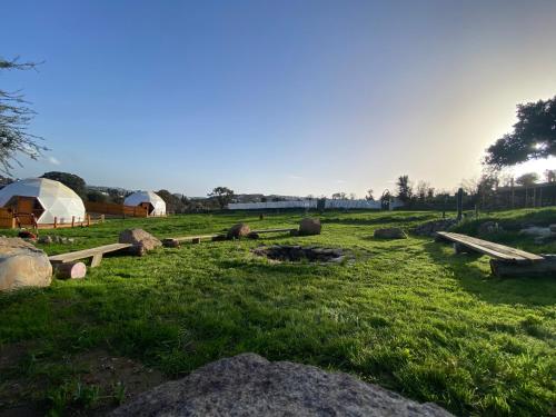 a field with tents and rocks in the grass at Bodrum Dome Suites in Bodrum City