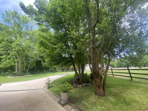 a tree on the side of a road at Chambres d'Hôtes Aux Ecuries du Chateau in Contremoulins