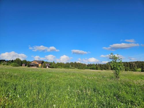 a field of green grass with a house in the background at Ubytování U Křížku in Modrava