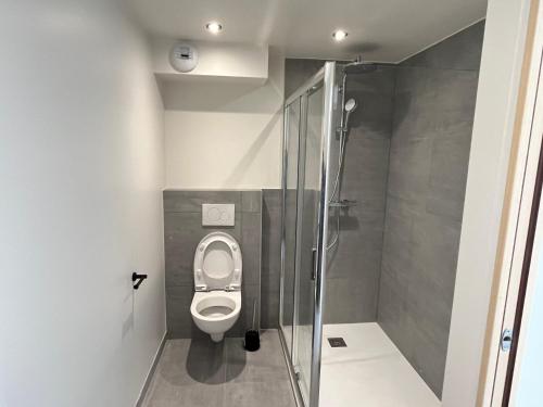 a bathroom with a toilet and a shower at Chalet Alexandre in Saint-Sorlin-dʼArves