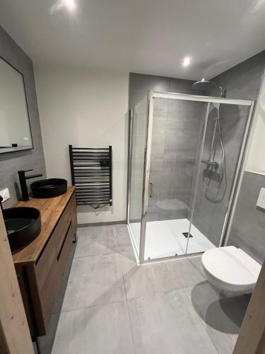 a bathroom with a shower and a toilet and a sink at Chalet Alexandre in Saint-Sorlin-dʼArves