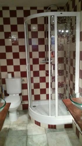une salle de bain avec une douche avec des toilettes et un lavabo dans l'établissement Gite La coulée douce, à Lorgues