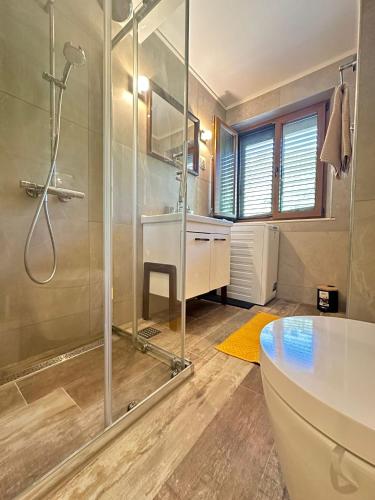 a bathroom with a shower and a sink and a toilet at Apartment Skok in Slano