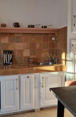 une cuisine avec un évier et un comptoir dans l'établissement Magnifique maison provençale haut standing avec piscine, jardins, garages fermés, à Sablet