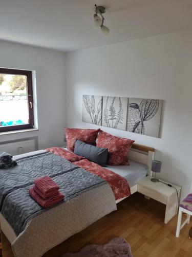 een slaapkamer met een bed met rode kussens en een raam bij Miu's Ferienwohnung in Alpirsbach