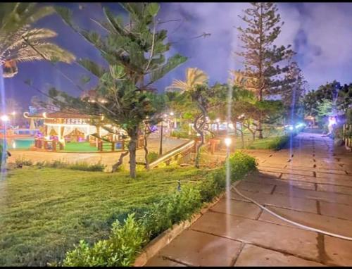 a park at night with trees and lights at قرية nice 1 الساحل الشمالي in Dawwār ‘Abd Allāh