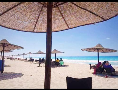 a group of people sitting under umbrellas on a beach at قرية nice 1 الساحل الشمالي in Dawwār ‘Abd Allāh