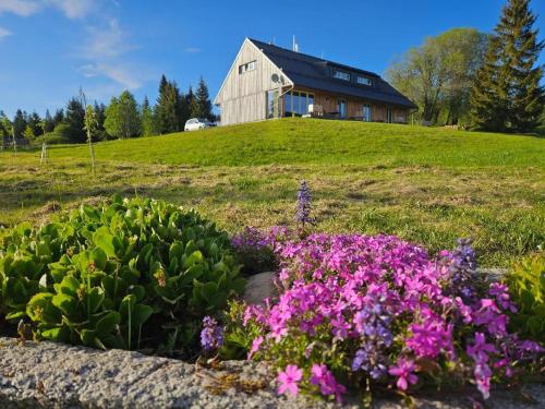 a house on top of a hill with flowers at Ubytování U Křížku in Modrava