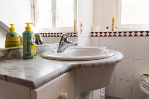 a bathroom counter with a sink and a mirror at Dogern in Luttingen