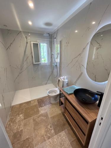a bathroom with a sink and a toilet and a mirror at Villa proche Golfe de St Tropez in Le Muy