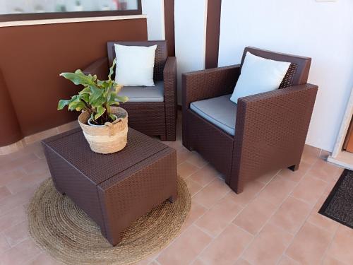 a patio with two chairs and a potted plant at Appartamento turistico Olivella in Formia