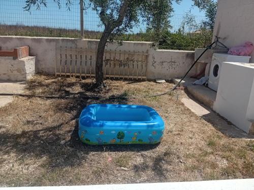 a blue dog crate sitting on the ground next to a tree at TAnoelvira in San Lorenzo