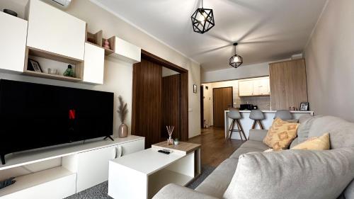 a living room with a couch and a tv at AD Apartments in Cluj-Napoca