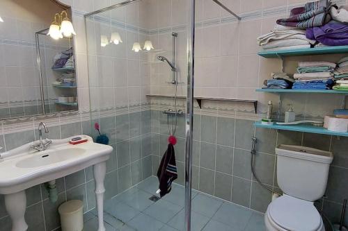 une salle de bains avec douche, toilettes et lavabo dans l'établissement SABLE BLEU, maison d'architecte, à Andernos-les-Bains