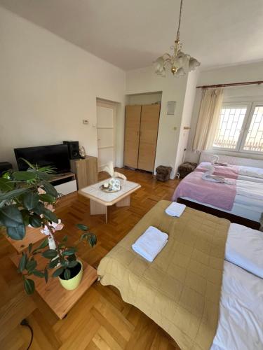 Apartment with Rose Garden & free parking 1141 Budapest, 3 Negyed utca kép - 3