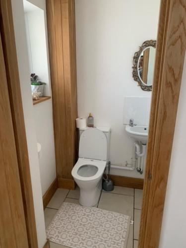 małą łazienkę z toaletą i umywalką w obiekcie 4 Bedroom house with parking, Near Safari Park w mieście Kidderminster