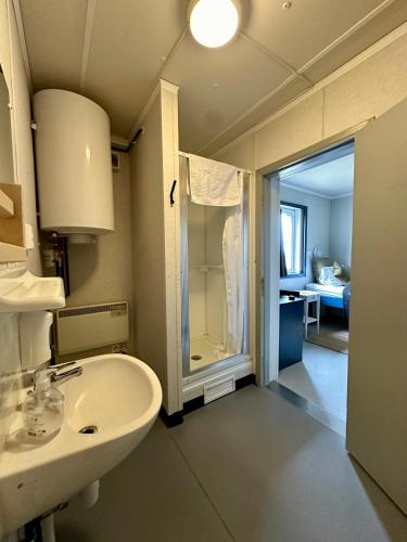 a bathroom with a sink and a glass shower at Hestaland Guesthouse Horse Farm Stay in Staðarhús