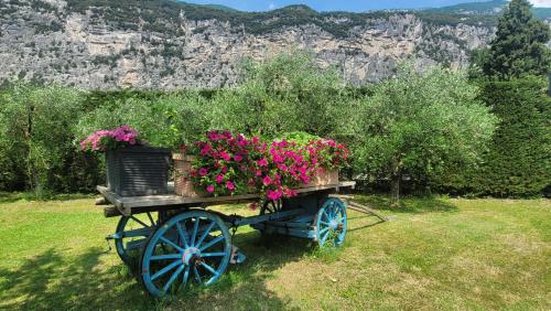a wooden cart filled with flowers in a field at Agriturismo Vin e Amor in Dro
