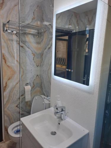 Un baño con lavabo, espejo e inodoro. en Safta Apartament 3, en Cîmpulung