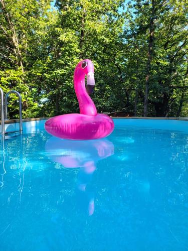 un flotteur de flamants roses dans une piscine dans l'établissement Gite la bleuet avec piscine, à Valgorge
