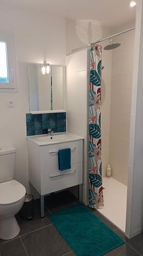 une salle de bain avec un lavabo, des toilettes et une douche dans l'établissement Maisonnette indépendante, à Montroy