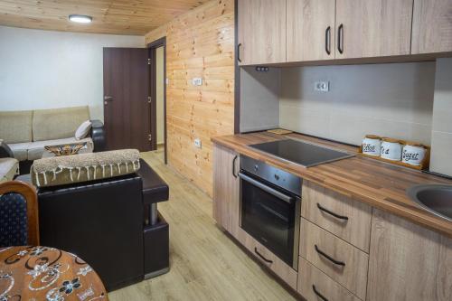 - une cuisine avec une cuisinière et un évier dans la chambre dans l'établissement Apartman Viktorija, à Žabljak
