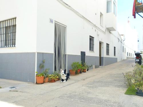 Apartamento Anita Conil