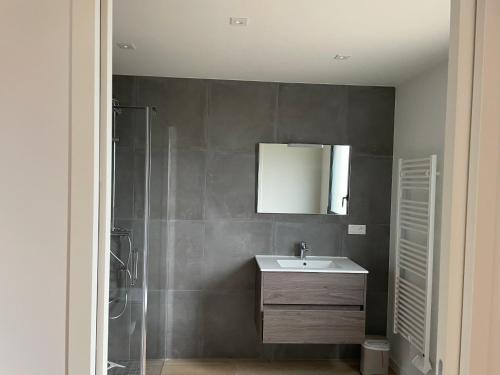 W łazience znajduje się umywalka i prysznic. w obiekcie Villa Beau Séjour w mieście Fontenay-sur-Mer