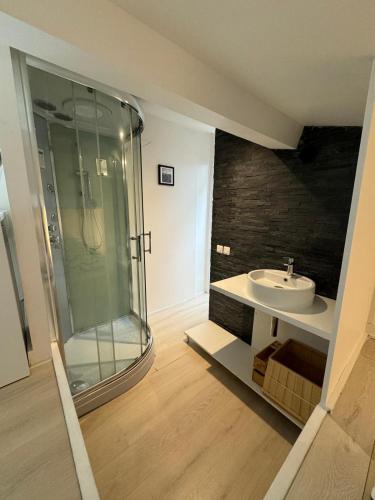 une salle de bain avec une douche en verre et un lavabo dans l'établissement Duplex Pinel - Stade de France - Paris, à Saint-Denis