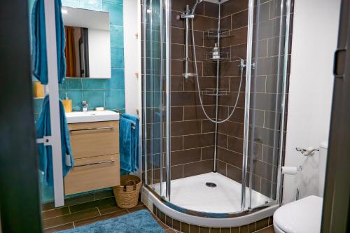 a bathroom with a shower with a toilet and a sink at Maison individuelle avec terrasse Nogent sur Marne in Nogent-sur-Marne