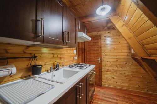 a kitchen with a sink and a stove at Matilde's Chalet Etna Nature House in Nicolosi