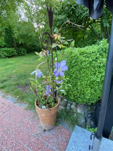 Gallery image of Sommerhus med udendørs pool i Arrild Ferieby in Arrild