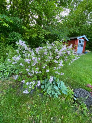 Gallery image of Sommerhus med udendørs pool i Arrild Ferieby in Arrild