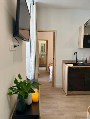 - une cuisine avec un évier et une table avec une plante dans l'établissement Thomas Price Appart, à Narbonne