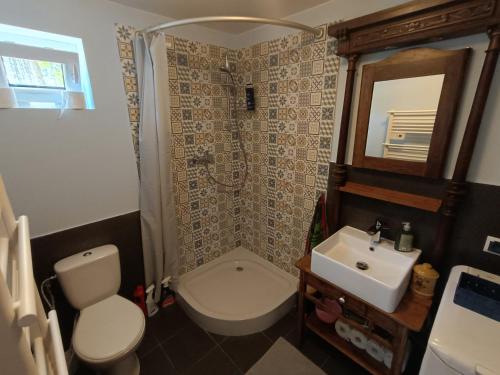a bathroom with a toilet and a sink at Domek pod dębem in Wysoka Lelowska