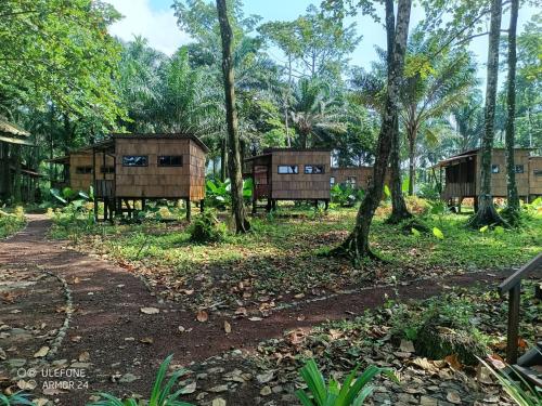 a group of huts in a forest with trees at Hotel Campismo Praia Grande in Monte Carmo