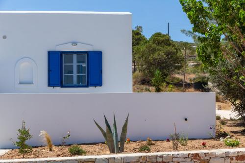 a white building with a blue window and a cactus at Aitheras Luxury Suites in Protorgia