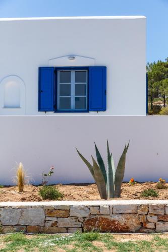 a house with a blue window on the side of it at Aitheras Luxury Suites in Protorgia