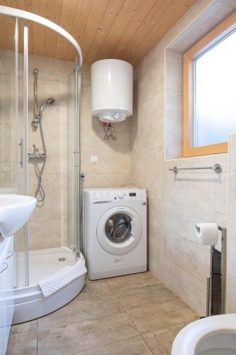 a bathroom with a washing machine and a shower at House Storz in Pohorje