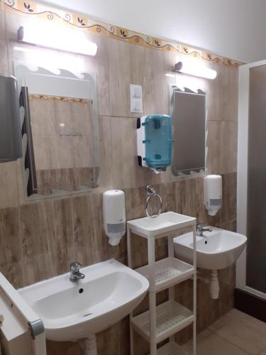 Fotografie z fotogalerie ubytování Ecostel Summer Hostel v Siofoku