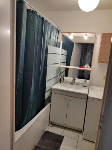 une salle de bain avec un lavabo et un miroir dans l'établissement Logement entier - appartement, à Bordeaux