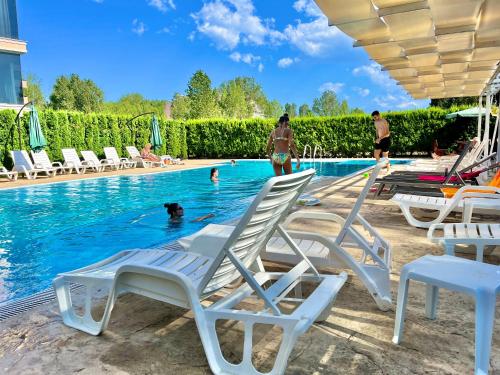 a pool with chairs and a dog in the water at Апартамент Vip Vision Studio LUX in Sunny Beach