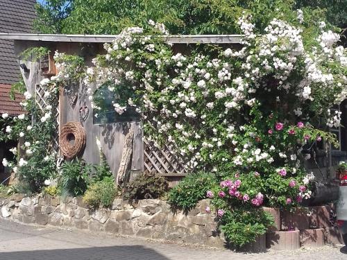 a bunch of flowers on a stone wall at Dischhansenhof in Glottertal