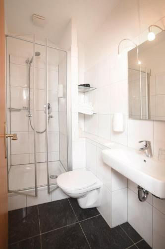 a bathroom with a toilet and a shower and a sink at Hotel Kiekenstein in Stahle